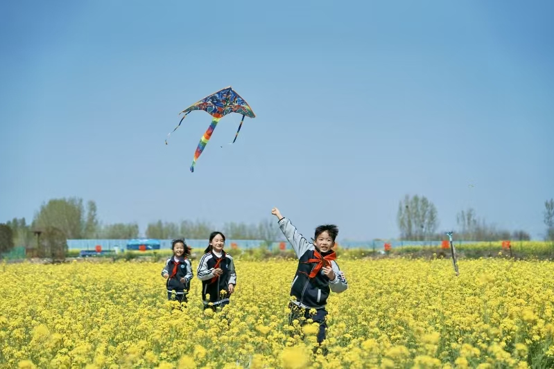 風箏.jpg