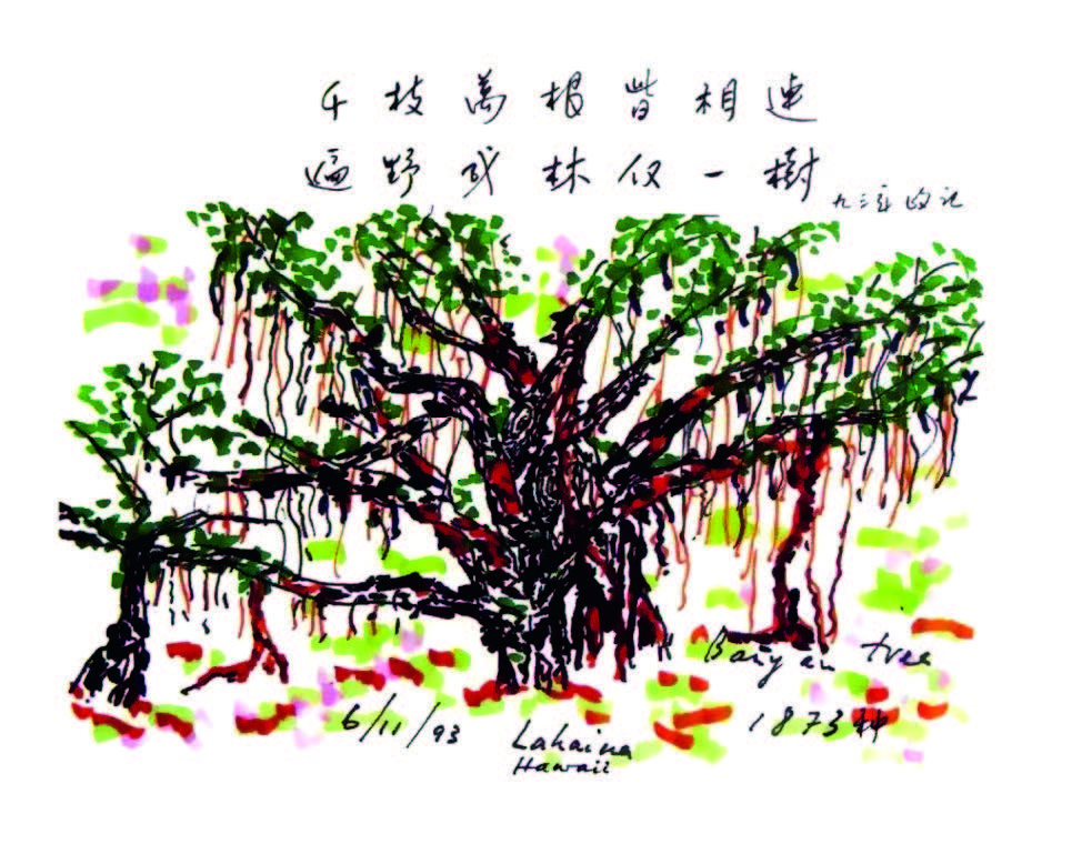 手繪的大榕樹.jpg