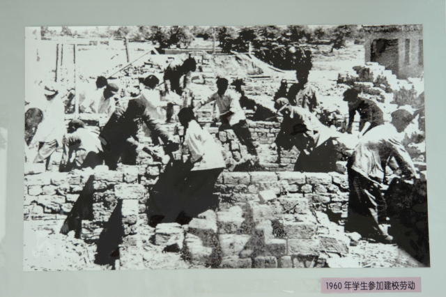 1960年石河子農學院學生參加建校勞動.JPG