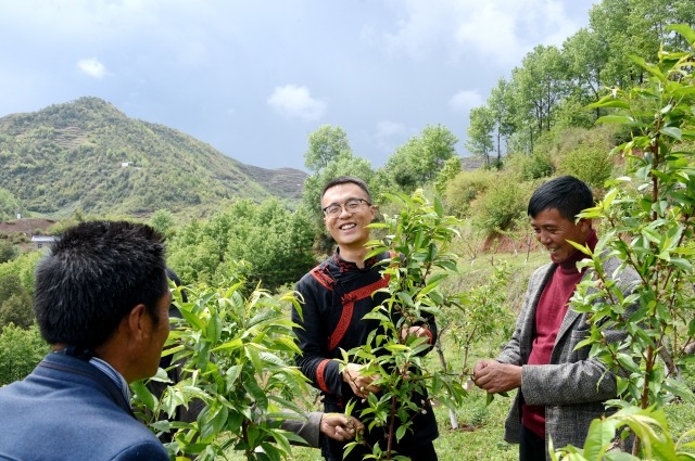 李凱與三河村民一起在冬桃園里一起勞動。 (1).jpg