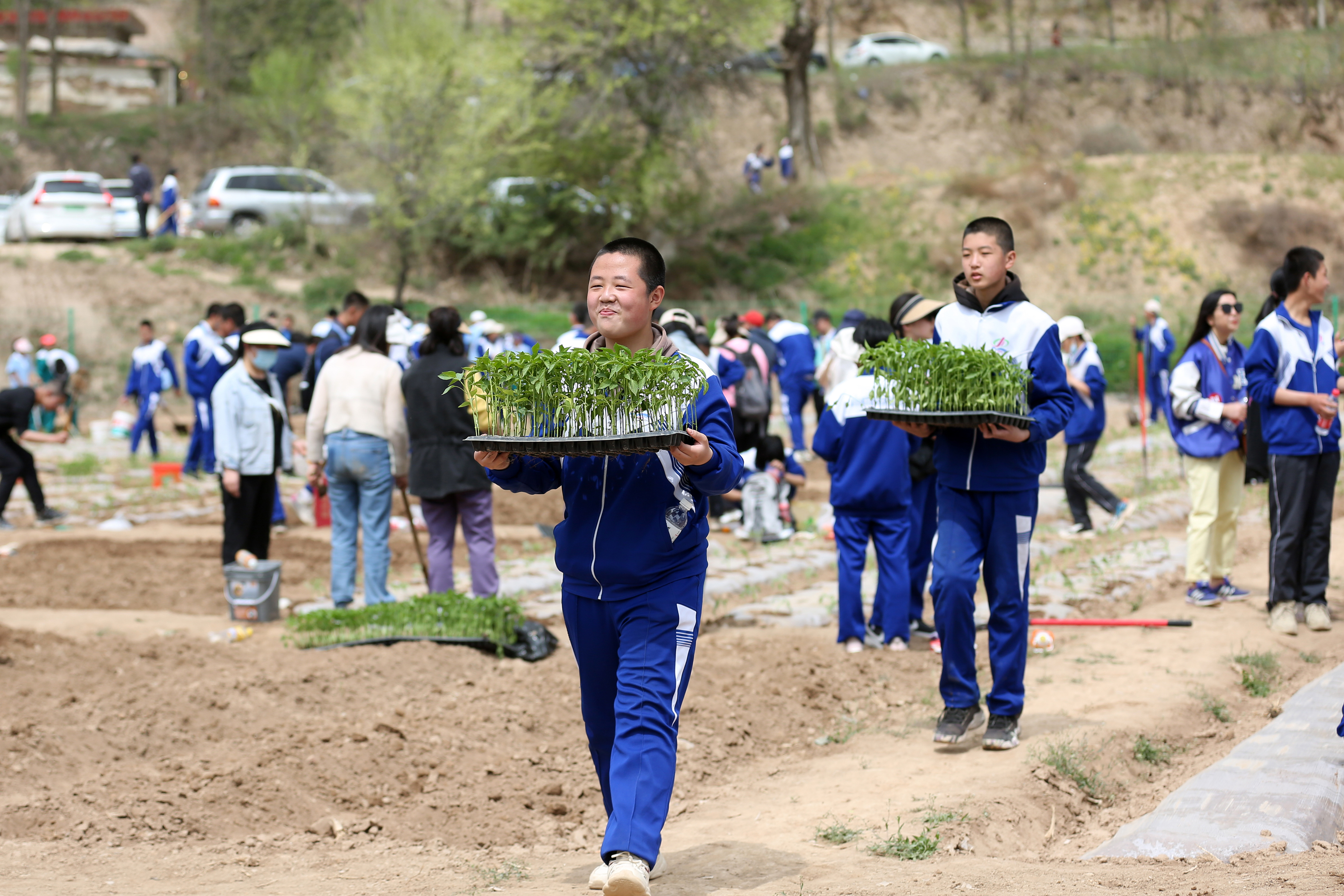 09——4月27日，在甘肅省平?jīng)鍪械谒闹袑W(xué)行知園學(xué)農(nóng)基地里，學(xué)生們?cè)诎徇\(yùn)辣椒苗。.JPG