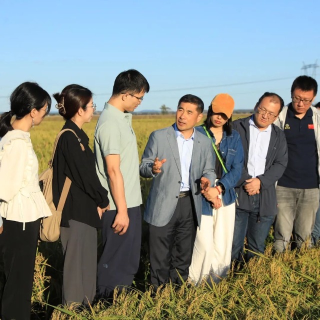 馬軍院士在稻田里授課。辛然攝.jpg