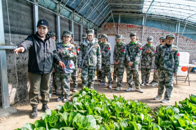 師生在第六埠村蔬菜大棚，了解蔬菜種植過(guò)程和常見(jiàn)病蟲(chóng)害防治等知識(shí)。.jpg